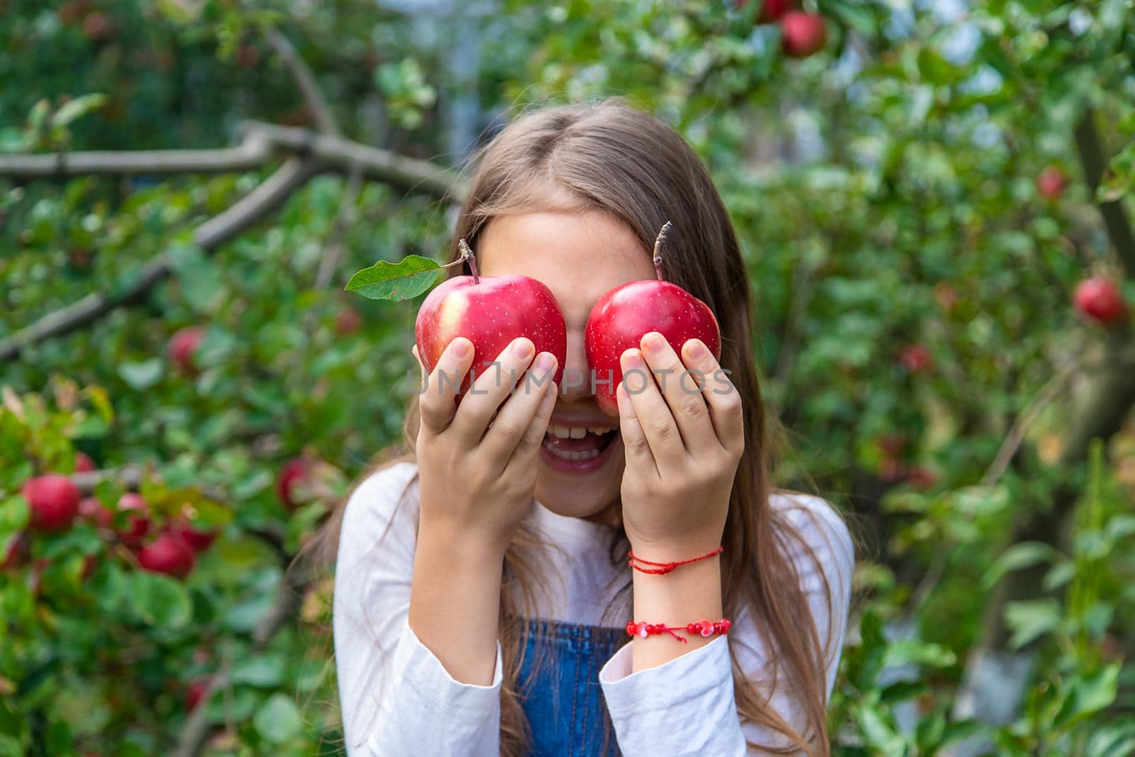 A child harvests apples in the garden. Selective focus. Food.