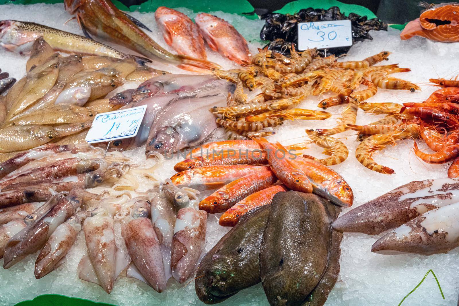Squid, fish and seafood for sale at a market