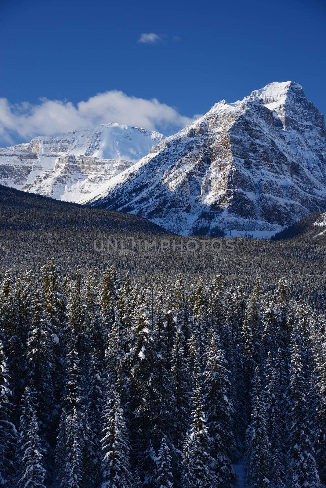 snow capped mountain in winter at canadian rockies