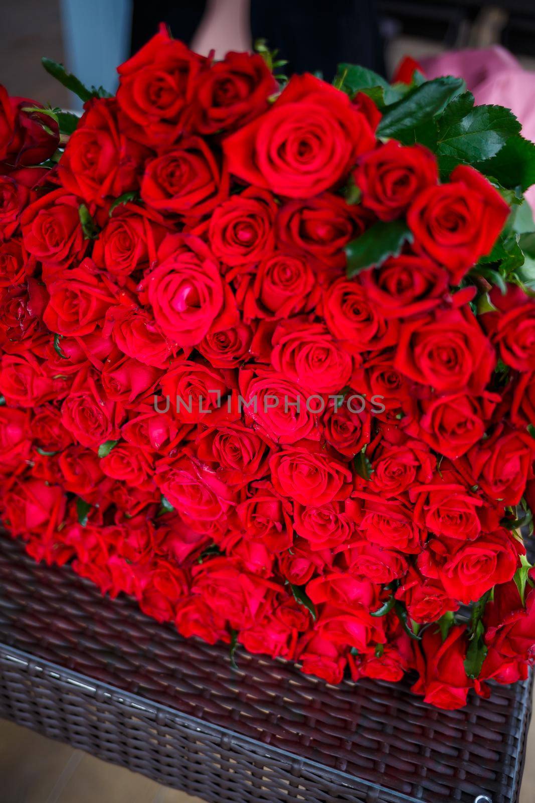 A large bouquet of red roses for a girl, fresh flowers