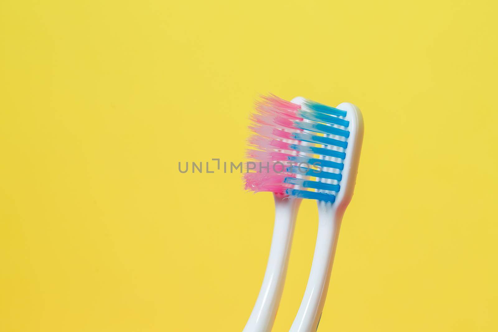 Two toothbrushes pink and blue. Toothbrush concept for a couple, living together as the beginning of a family by Dmitrytph