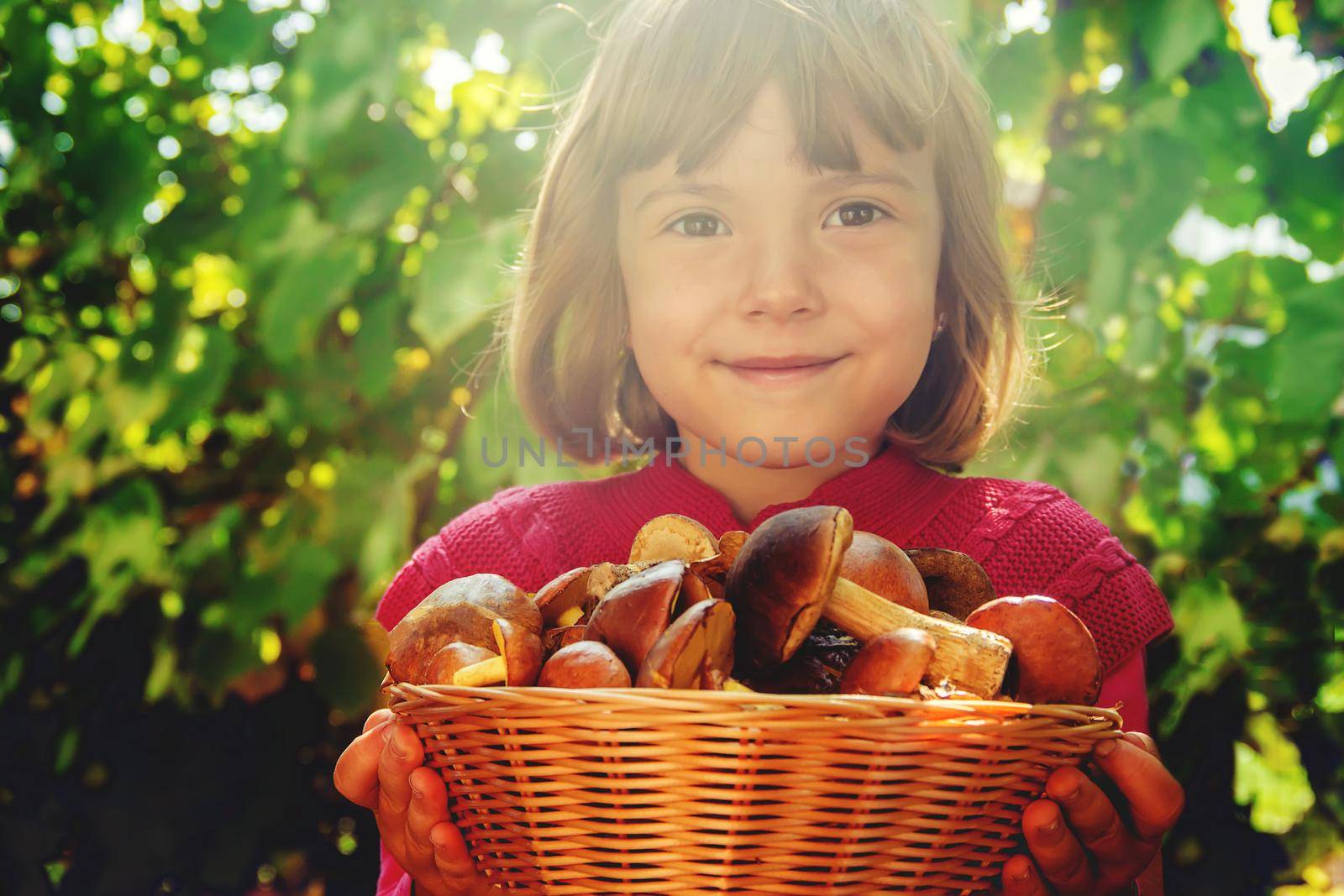 Forest mushrooms in the hands of a child. Selective focus. by yanadjana