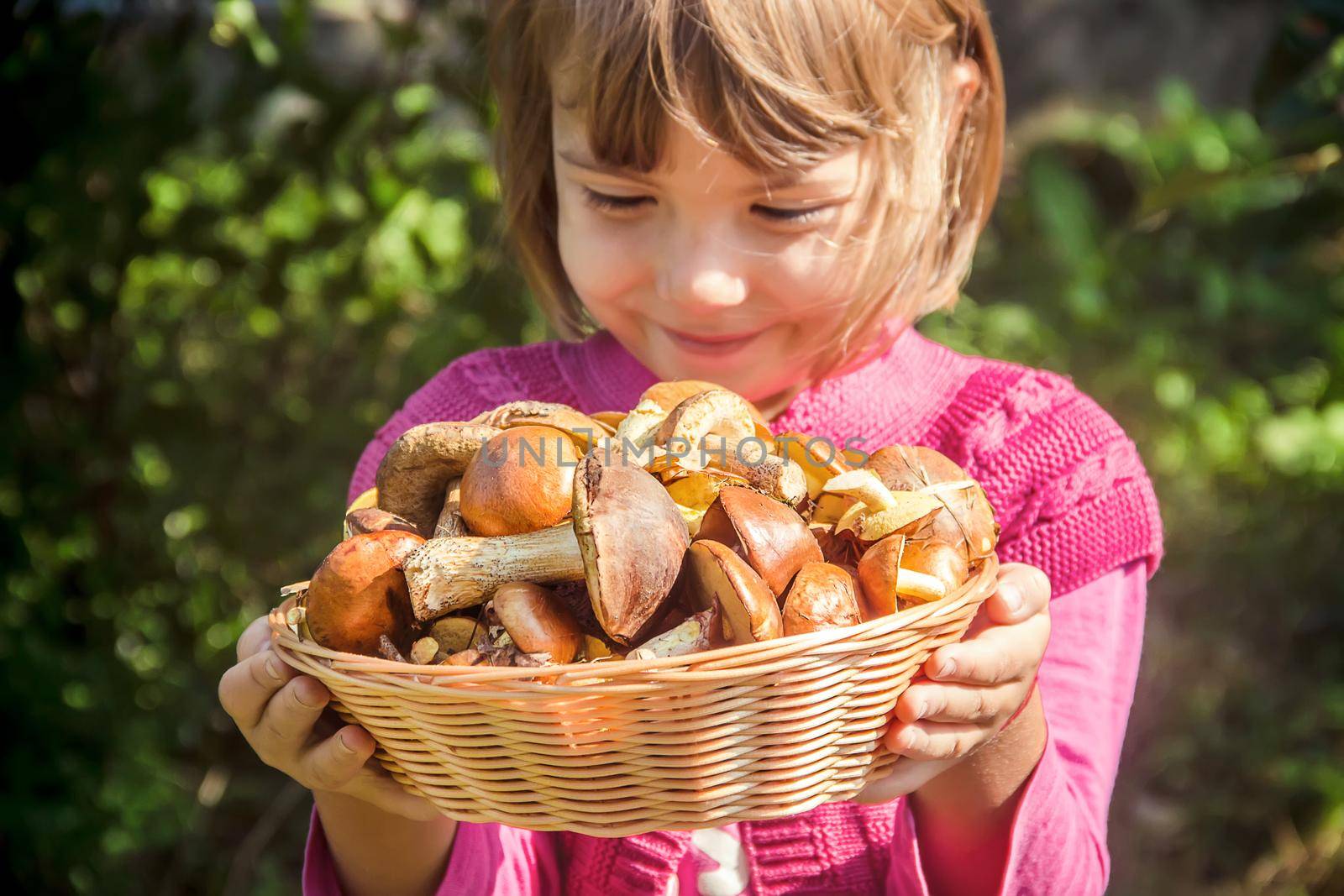Forest mushrooms in the hands of a child. Selective focus. by yanadjana