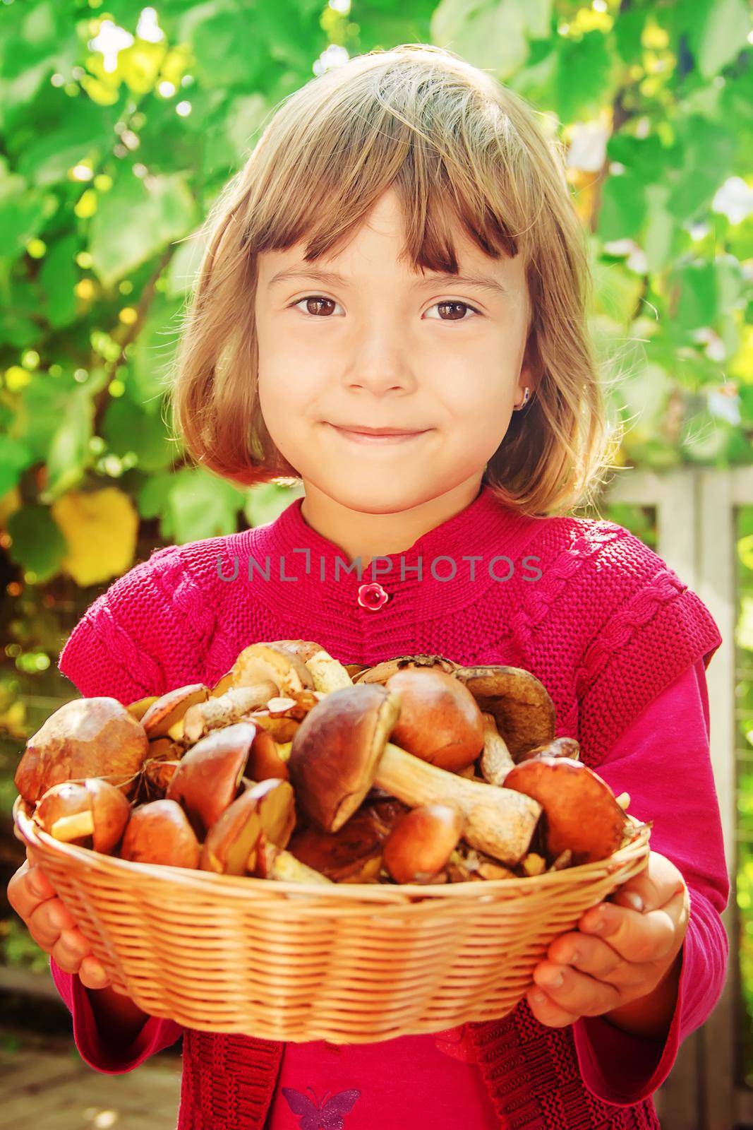 Forest mushrooms in the hands of a child. Selective focus. nature.