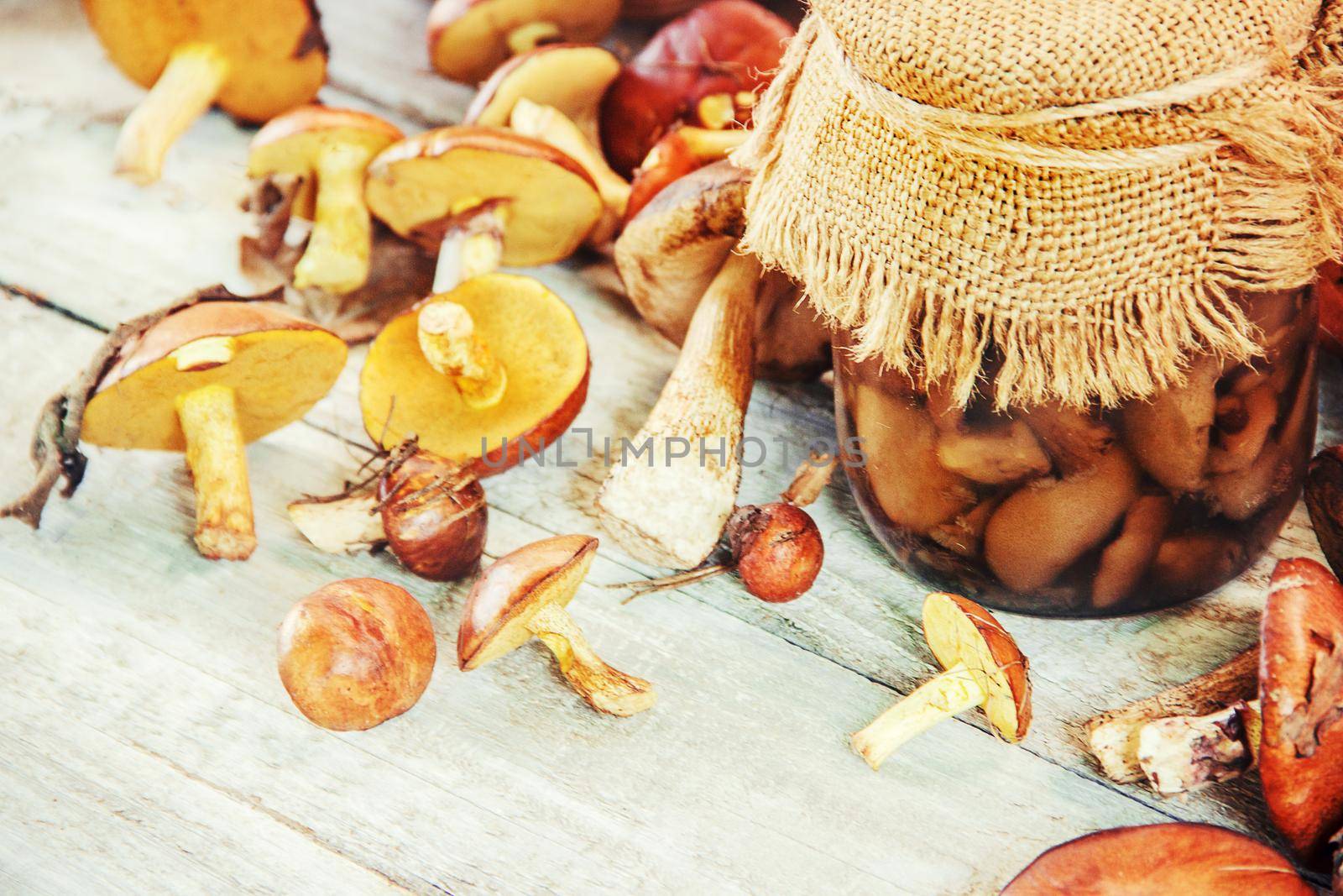 Forest mushrooms in the hands of a child. Selective focus. nature.