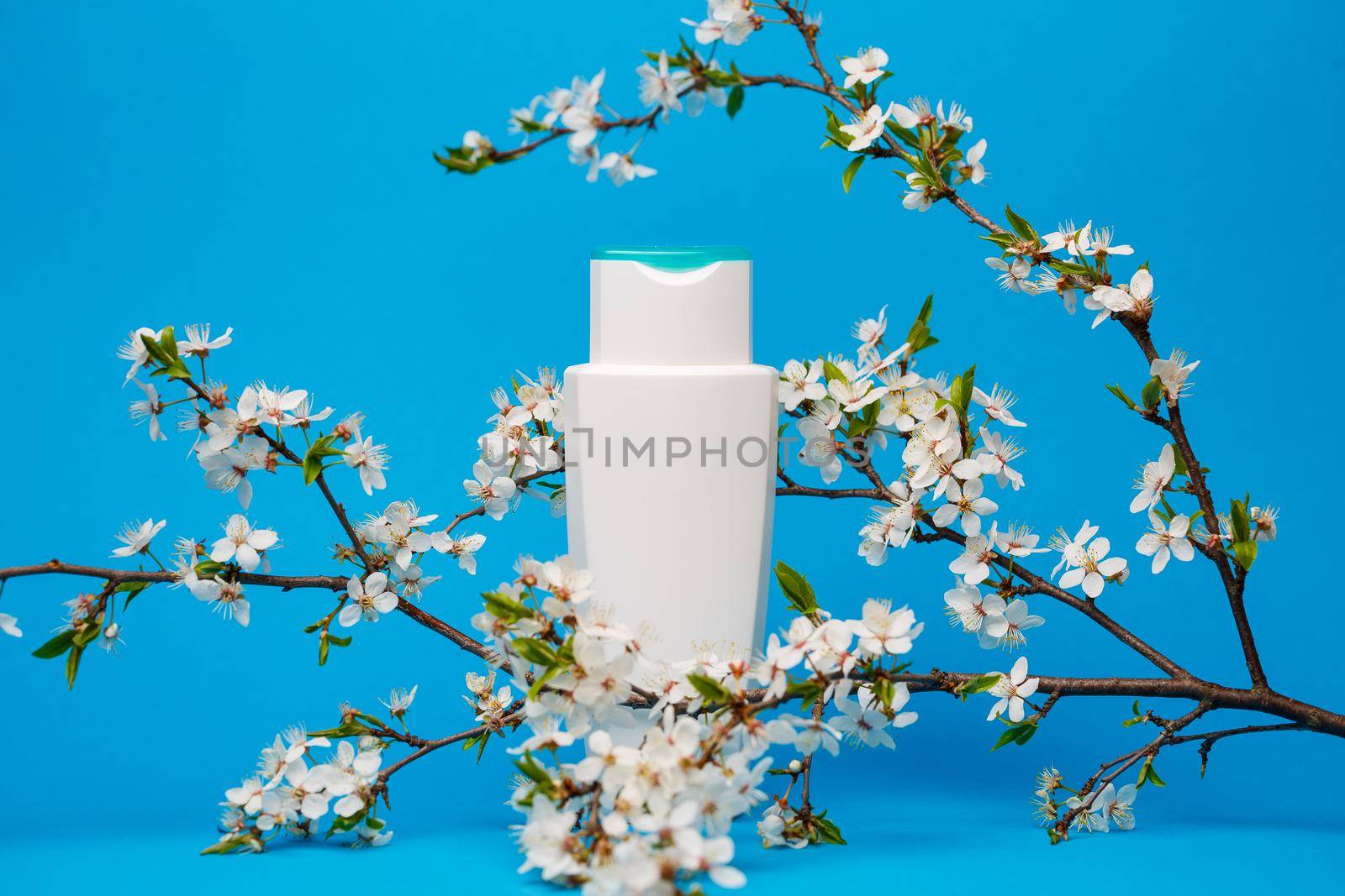 white bottle with cream, shampoo for hair, shower gel, isolated blue background, beauty and youth of the human body, flowering tree