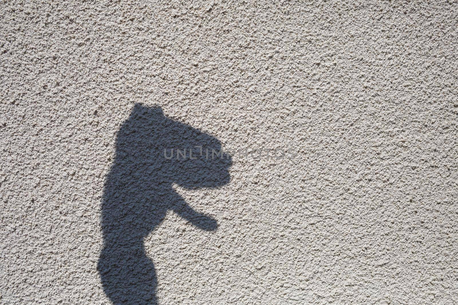 Shadow from the hand on the pavement. Shadow play on a sunny day