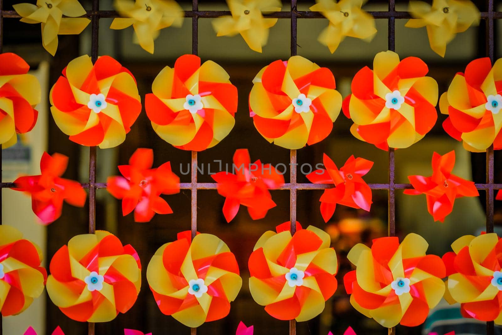 Image of colorful kidney (Bunkyo-ku Rokuyoen). Shooting Location: Tokyo metropolitan area