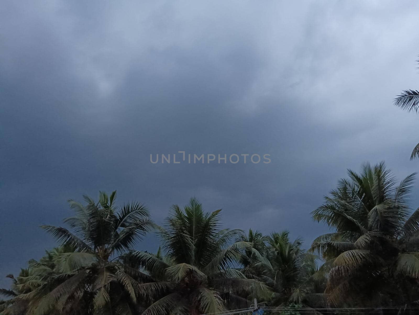 Black cloudy sky clouds before rain. High quality image,this is how clouds look before raining in the evening