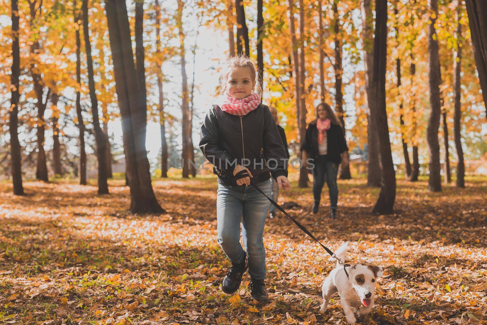 Little girl running with her dog jack russell terrier among autumn leaves. Mother and grandmother walks behind.