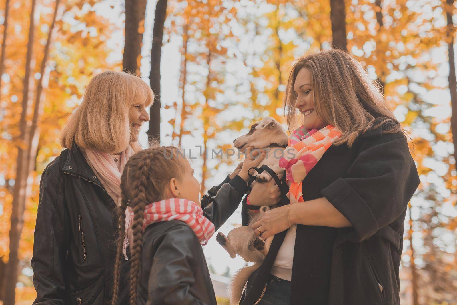 Mother and grandmother and daughter holds jack russell terrier and plays with it in autumn outside. Pet and family concept.