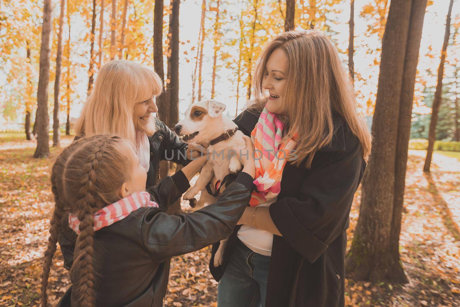 Mother and grandmother and daughter holds jack russell terrier and plays with it in autumn outside. Pet and family concept.