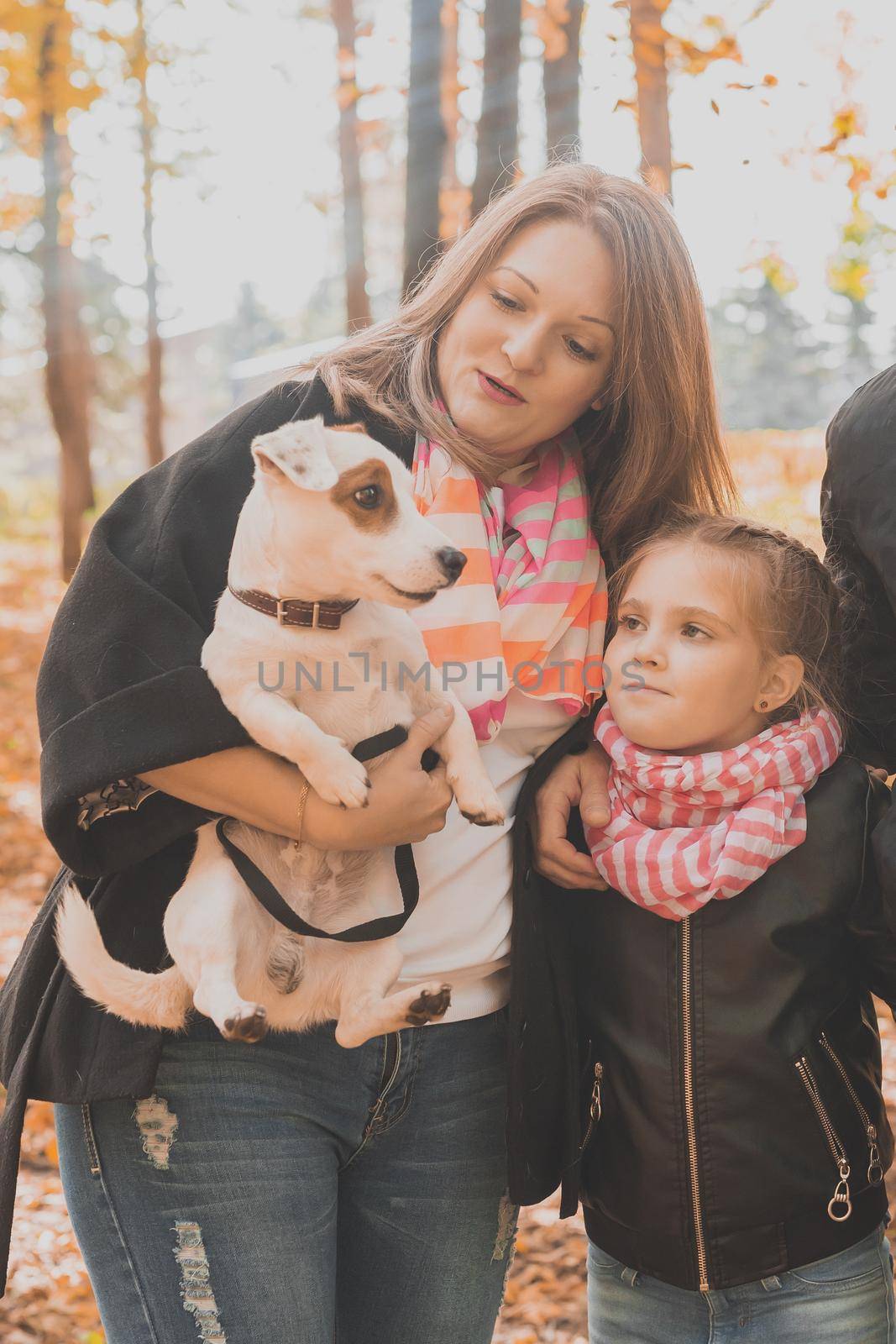 Grandmother with granddaughter in autumn park, girl hugging grandmother and her jack russell terrier dog. Generations, pet and family concept