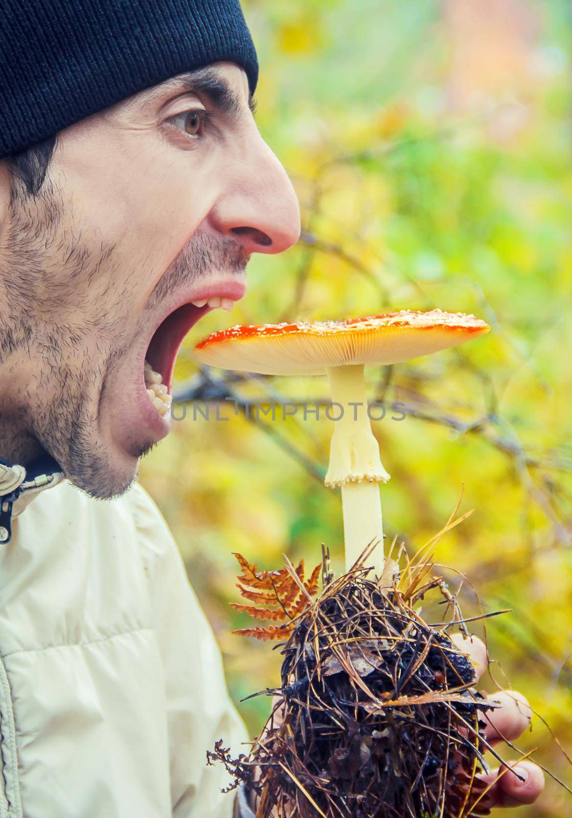 man is eating amanita. Selective focus. nature. by yanadjana