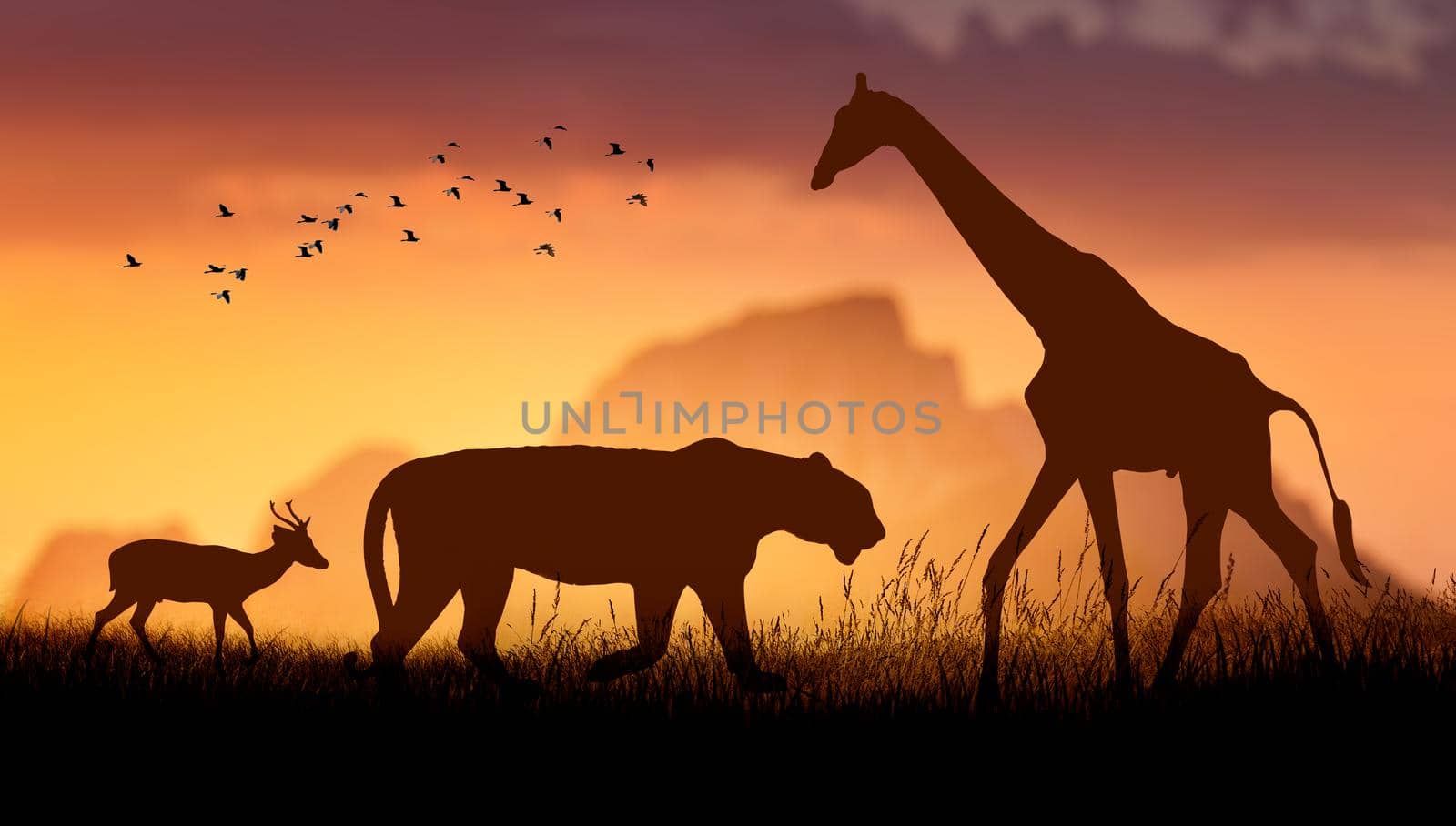 World Wildlife Day  Groups of wild beasts were gathered in large herds in the open field in the evening when the golden sun was shining.