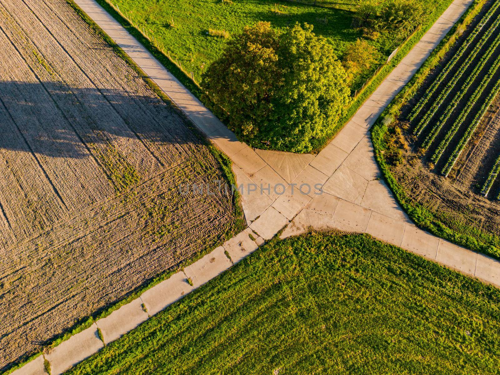 Several dirt roads seen with the drone meet at a fork in the road and require a decision