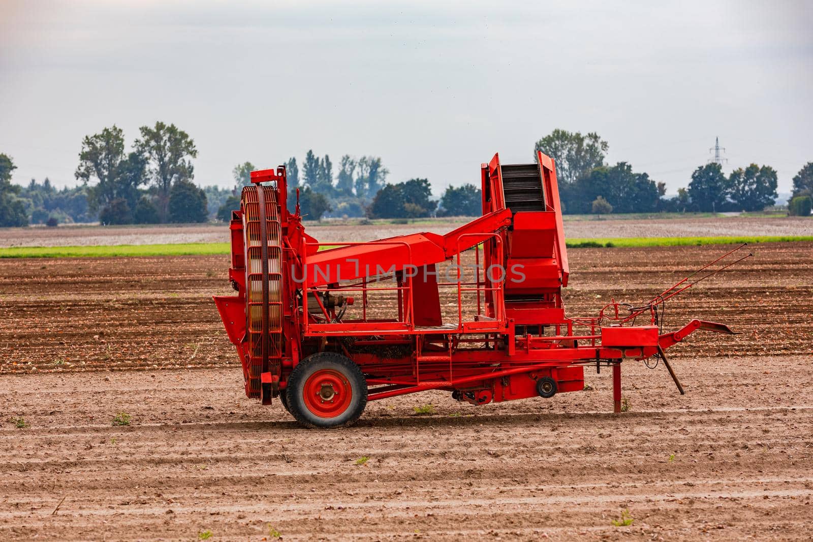 A harvesting machine for harvesting onions in autumn on a field, Germany