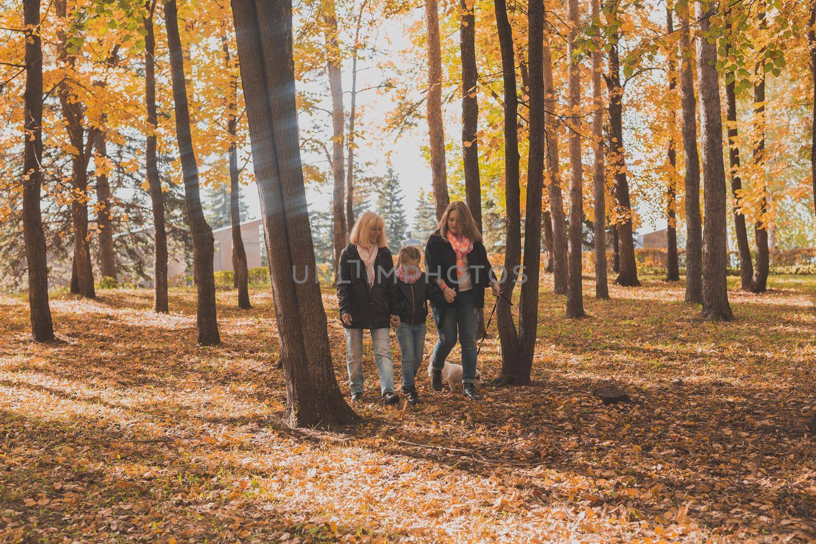 Grandmother and mother with granddaughter throw up fall leaves in autumn park and having fun. Generation, leisure and family concept