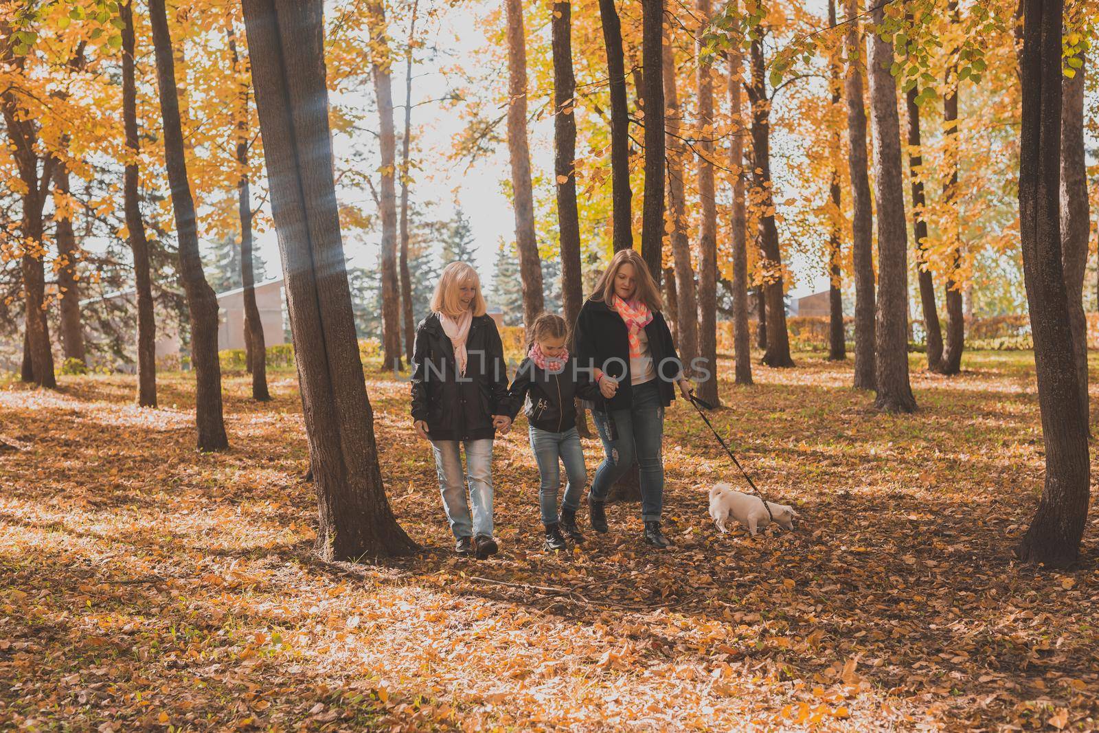 Grandmother and mother with granddaughter throw up fall leaves in autumn park and having fun. Generation, leisure and family concept