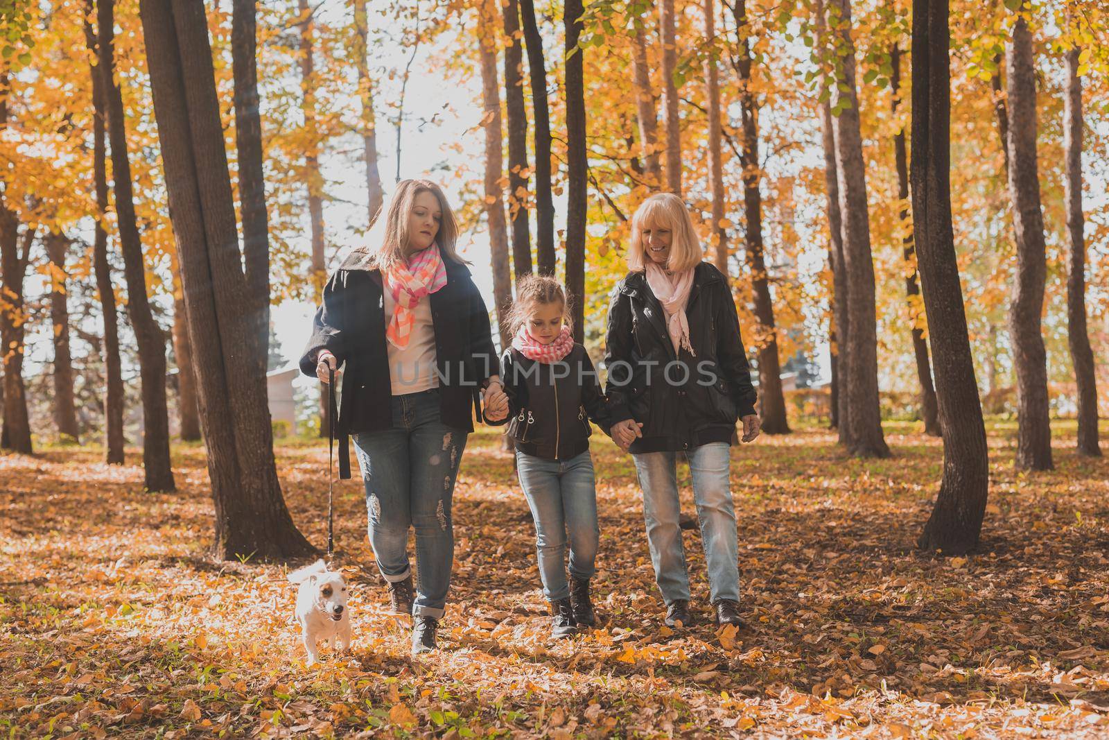 Grandmother and mother with granddaughter walks together in autumn park and having fun. Generation, leisure and family concept. by Satura86