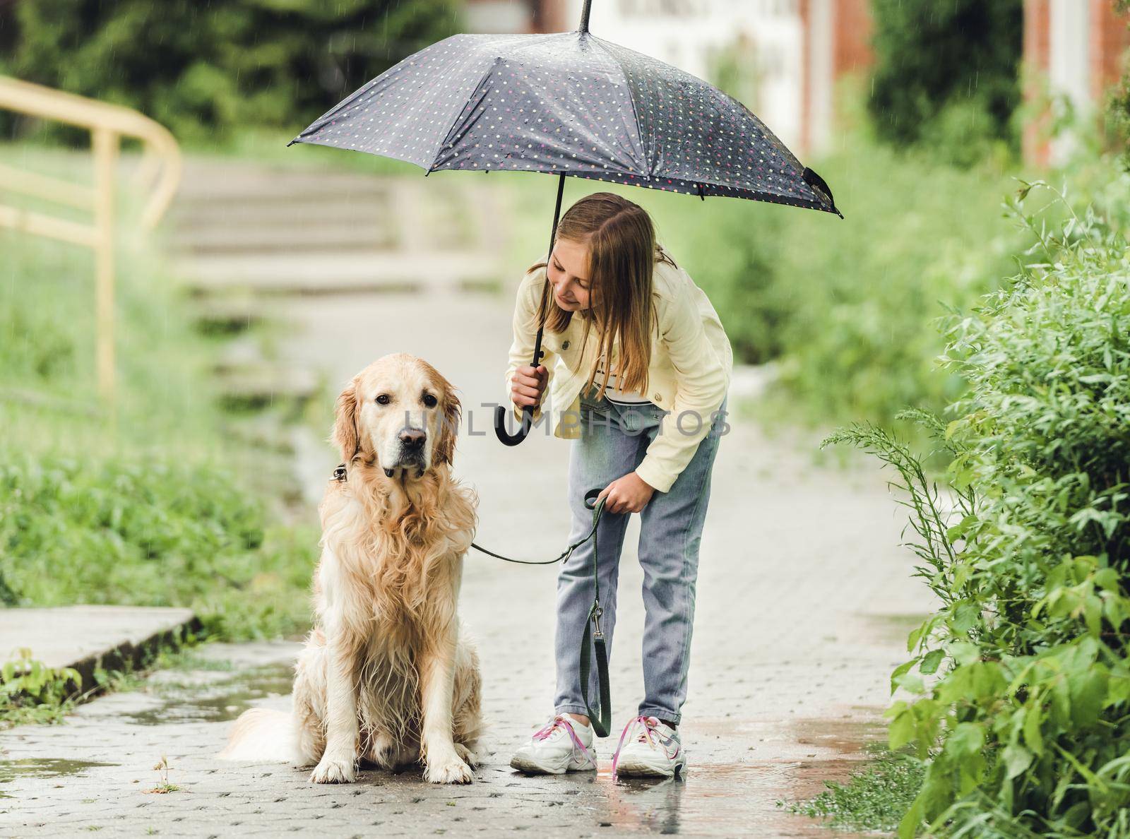 Preteen girl with golden retriever dog in rainy day walking outdoors in city park under umbrella. Cute kid child with labrador pet doggy outside