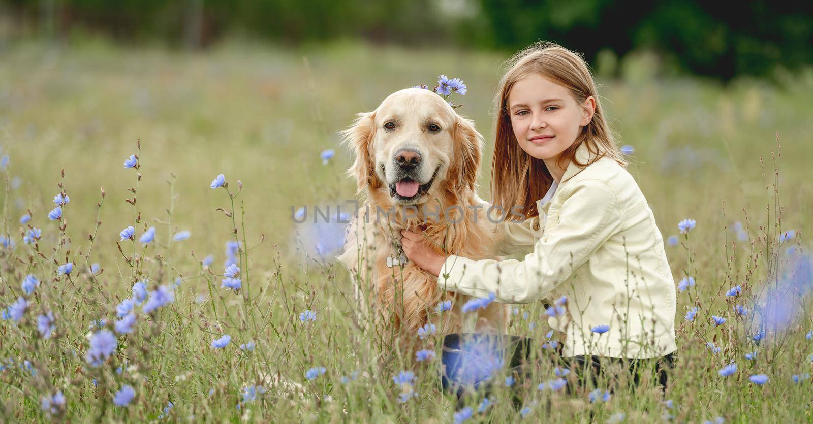 Portrait of beautiful preteen girl petting golden retriever dog and looking at him outdoors. Kid with doggy pet in the field in summer time