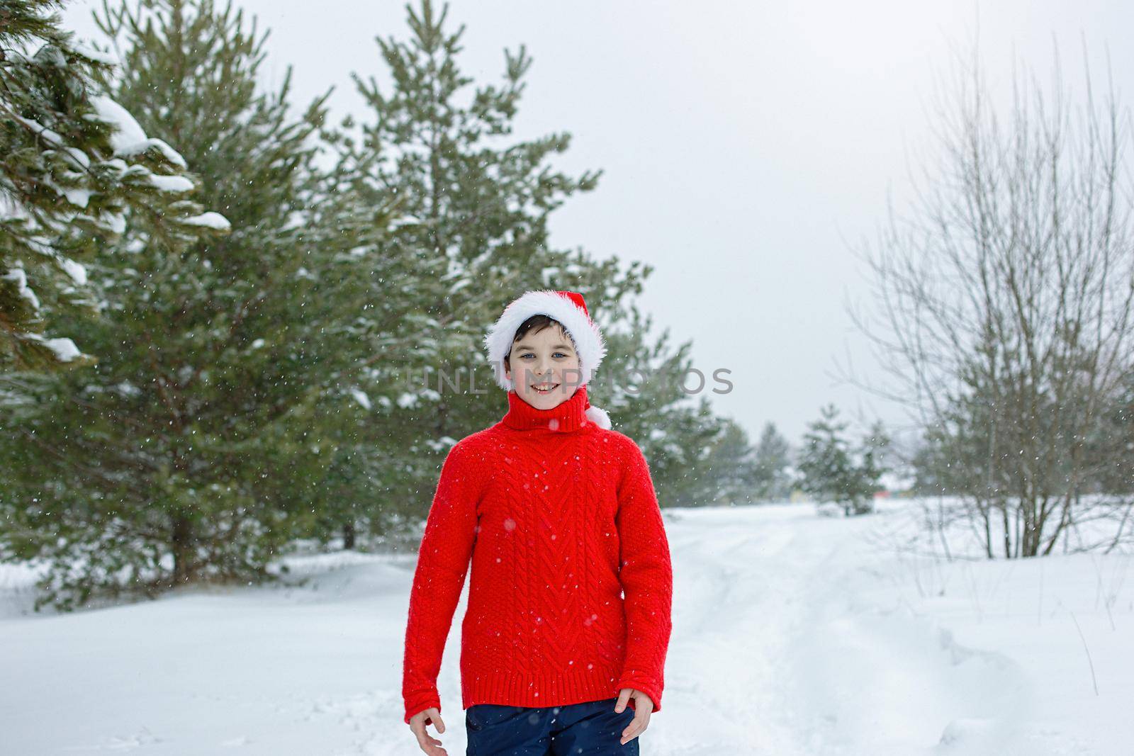 teenager in a red sweater and a red santa claus hat stands in the winter in the park, near pine trees in the snow, smiling. Copy space
