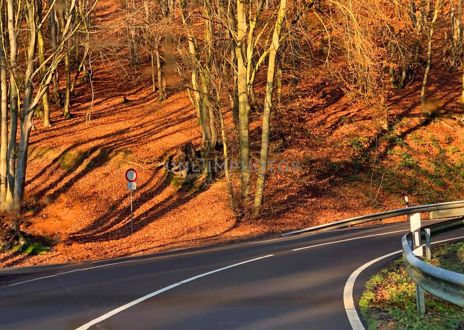 Road winding through hills with bare trees by WielandTeixeira