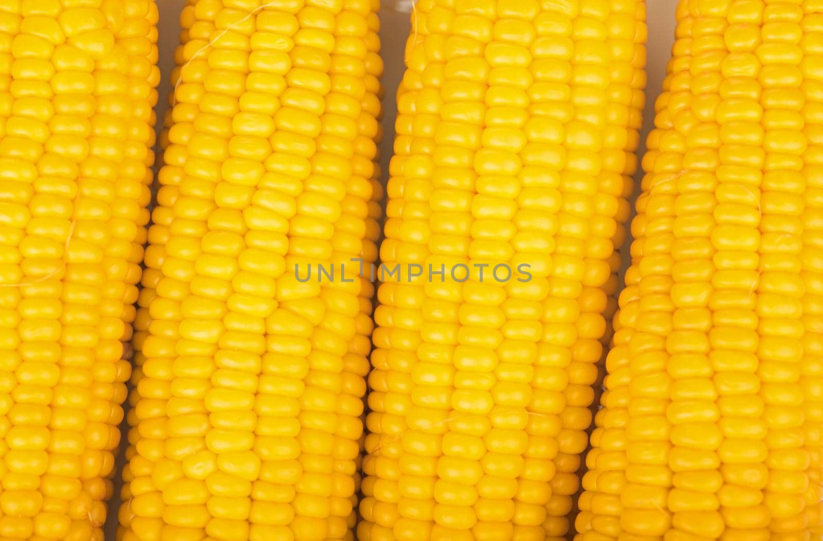 A close up shot of a fresh ears of corn