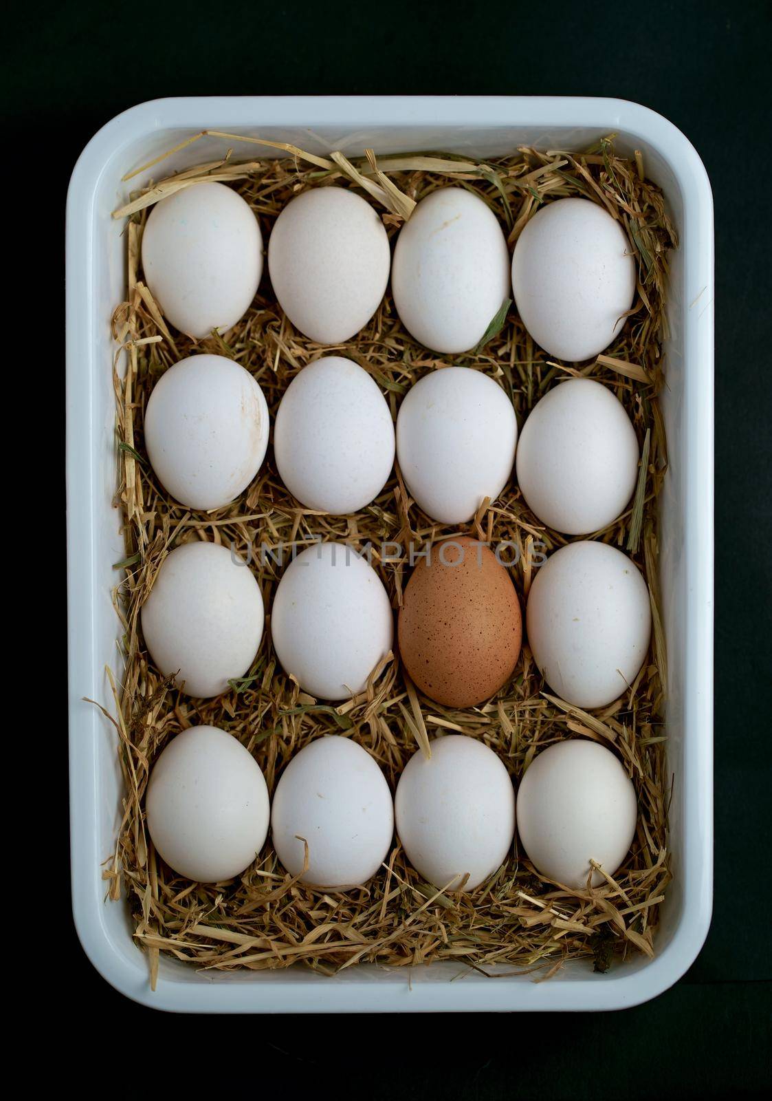 white and one brown raw farm chicken eggs lie on a black background by aprilphoto