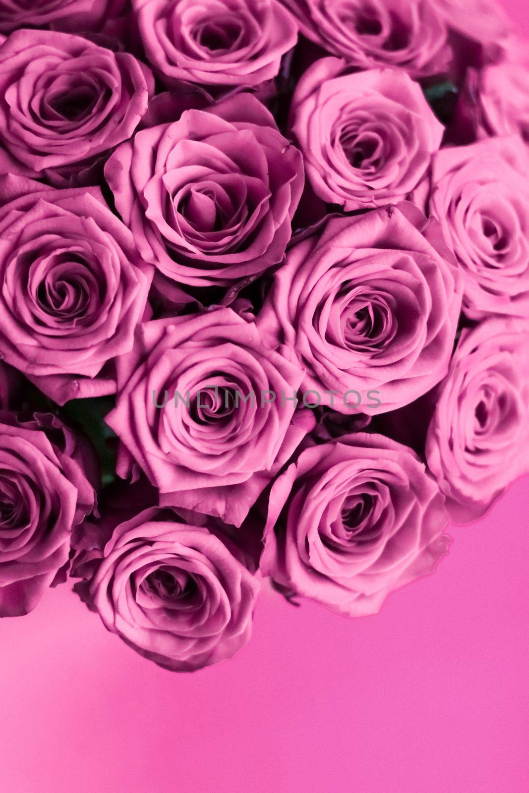 Blooming rose, flower blossom and Valentines Day gift concept - Luxury bouquet of purple roses, flowers in bloom as floral holiday background