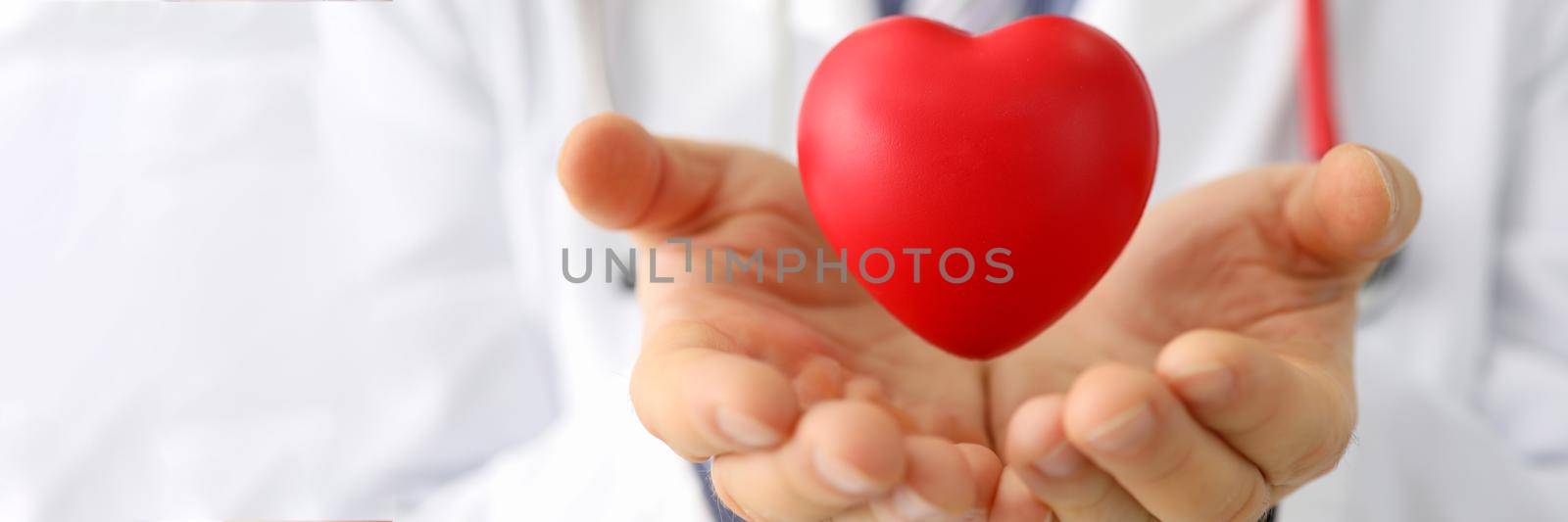 Doctor cardiologist holds small red heart. Diseases of cardiovascular system concept