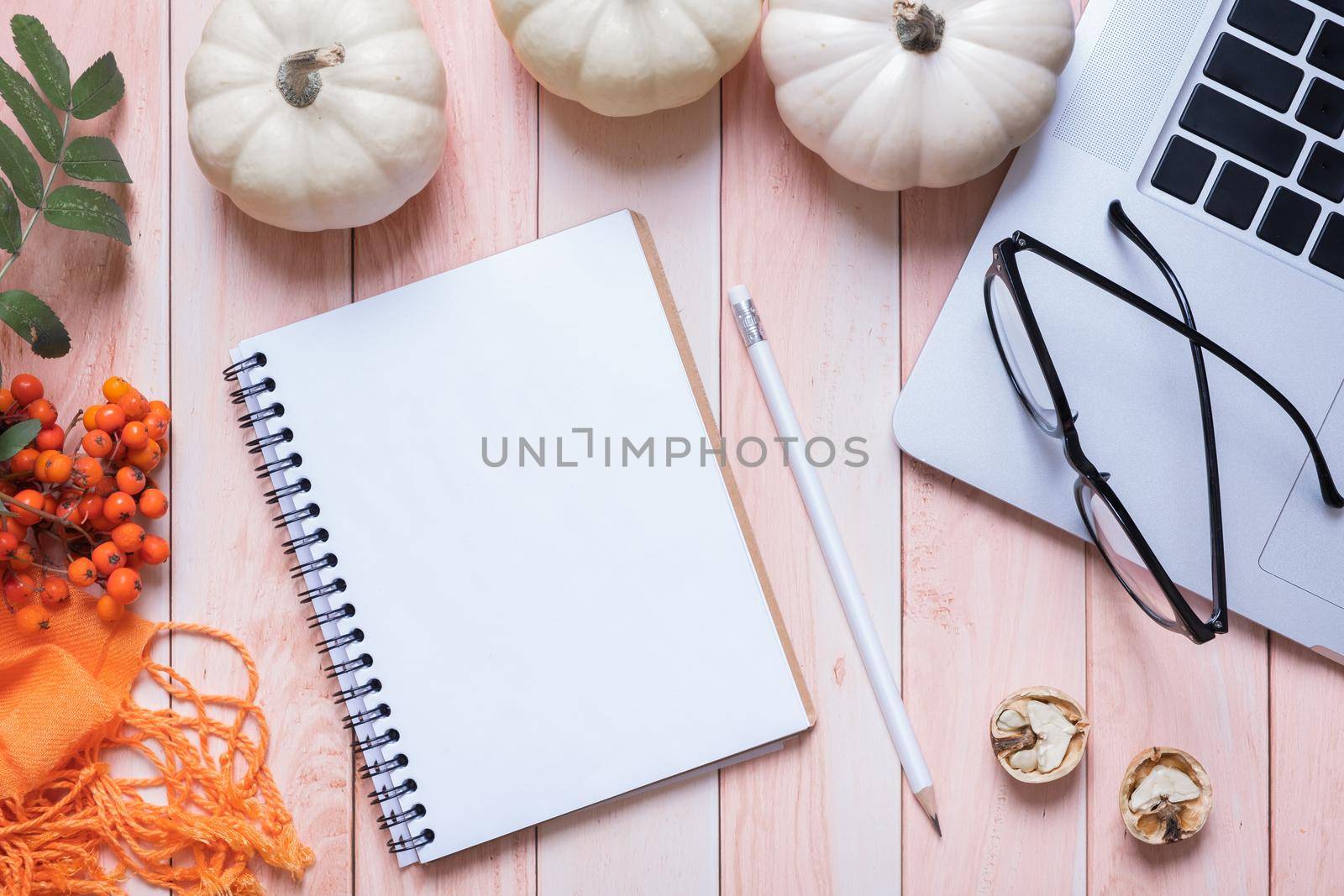 Blank sheet of paper and autumn cozy decor top view. Copy space for autumn text. High quality photo