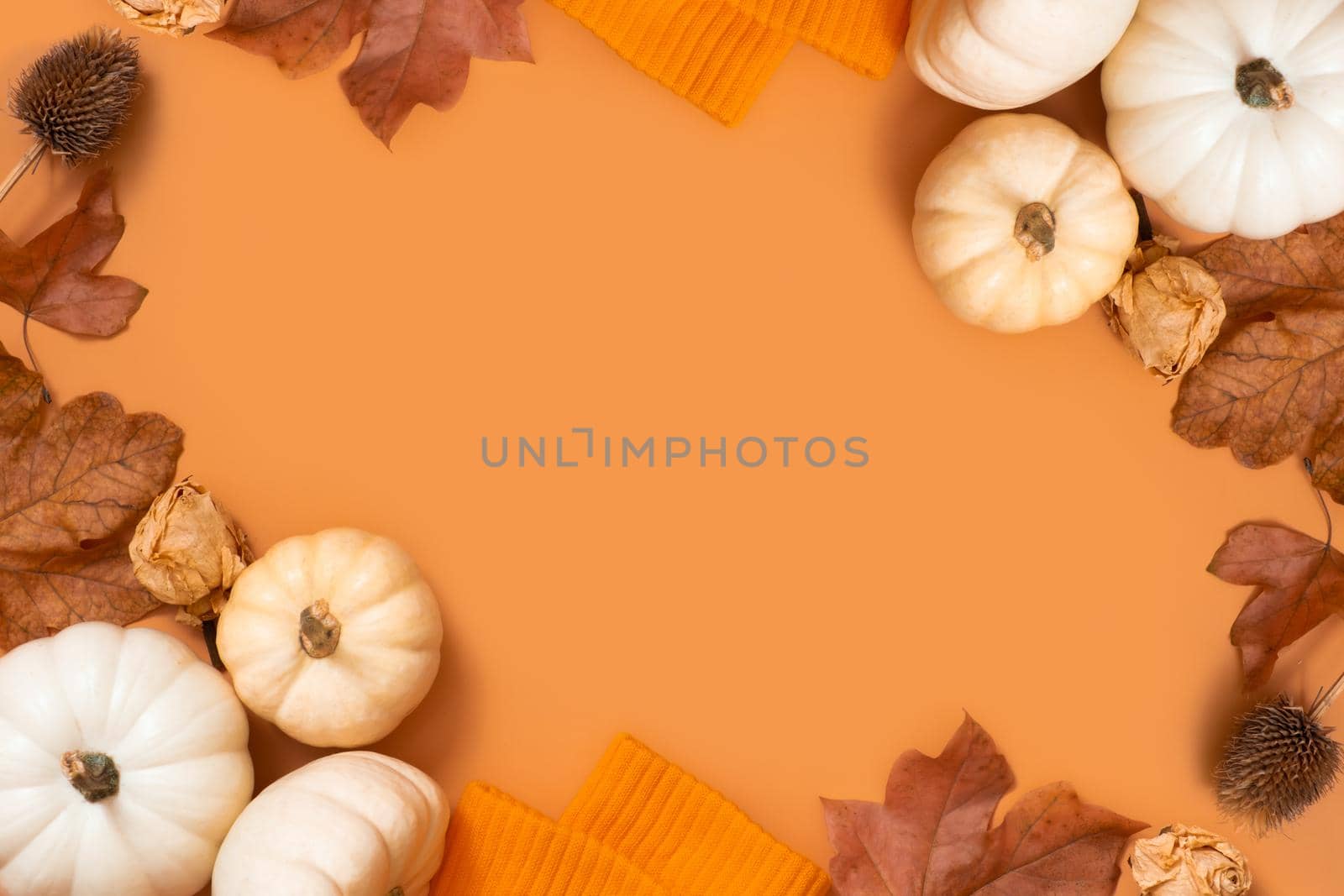 Frame from pumpkins and autumn leaves. Autumn theme mock up for text by ssvimaliss