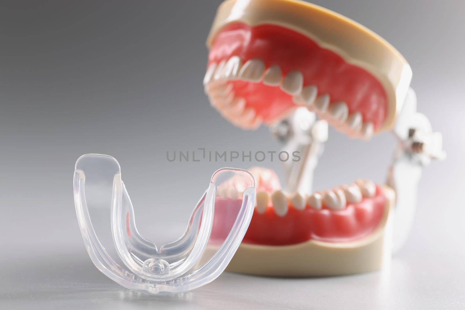 Plastic model of an open human jaw on a gray background by kuprevich