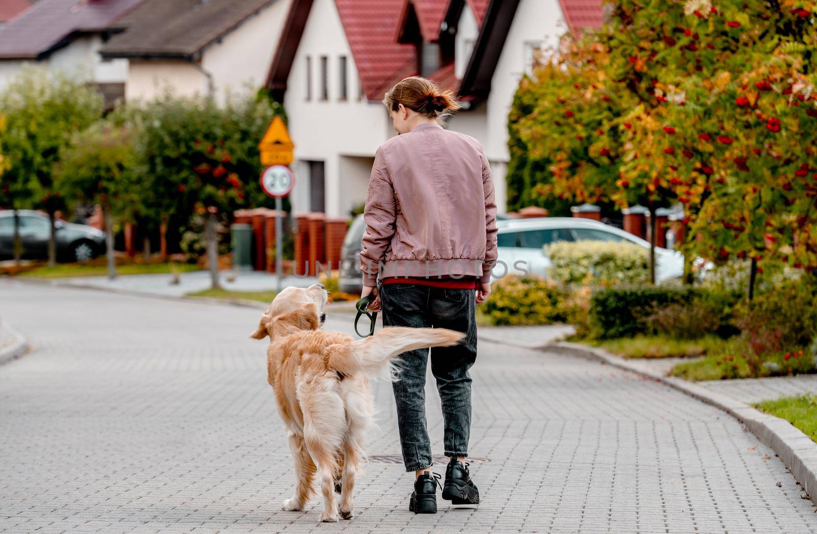 Preteen teen girl with backpack on her back with golden retriever dog walking down street . Child kid in pink jacket with purebred labrador dog outdoors