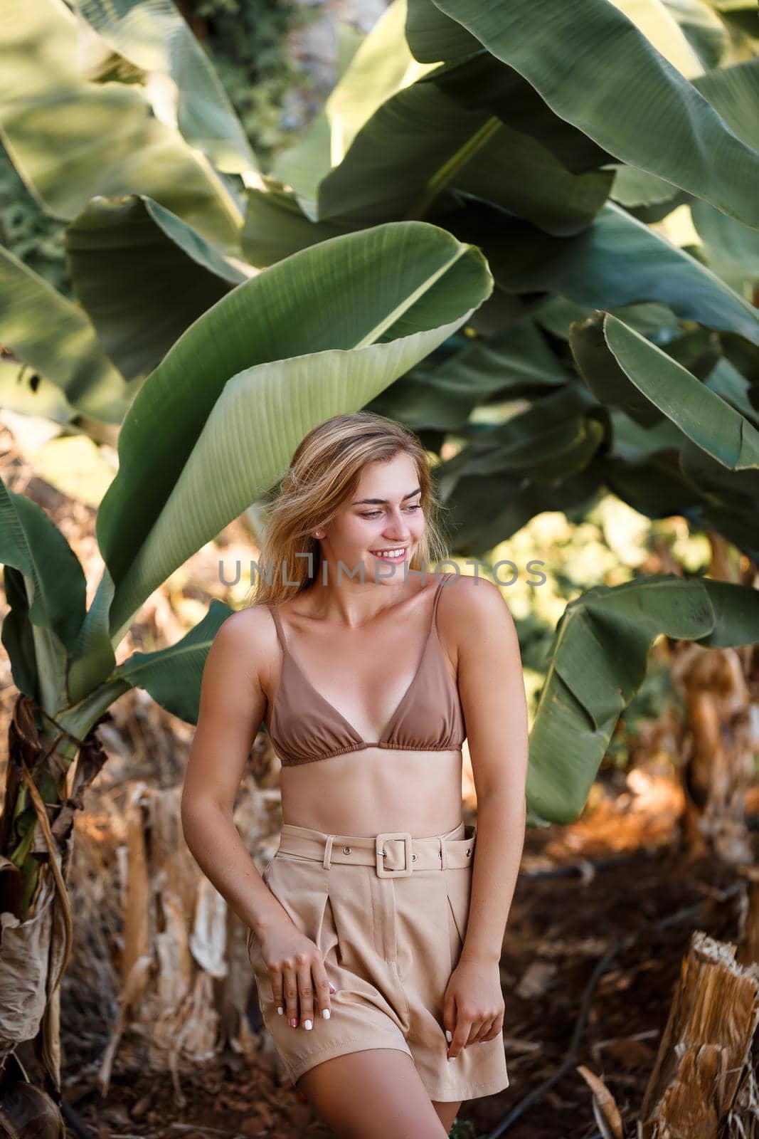 A beautiful girl stands in a beautiful pose near a palm tree, portrait shooting on a banana plantation