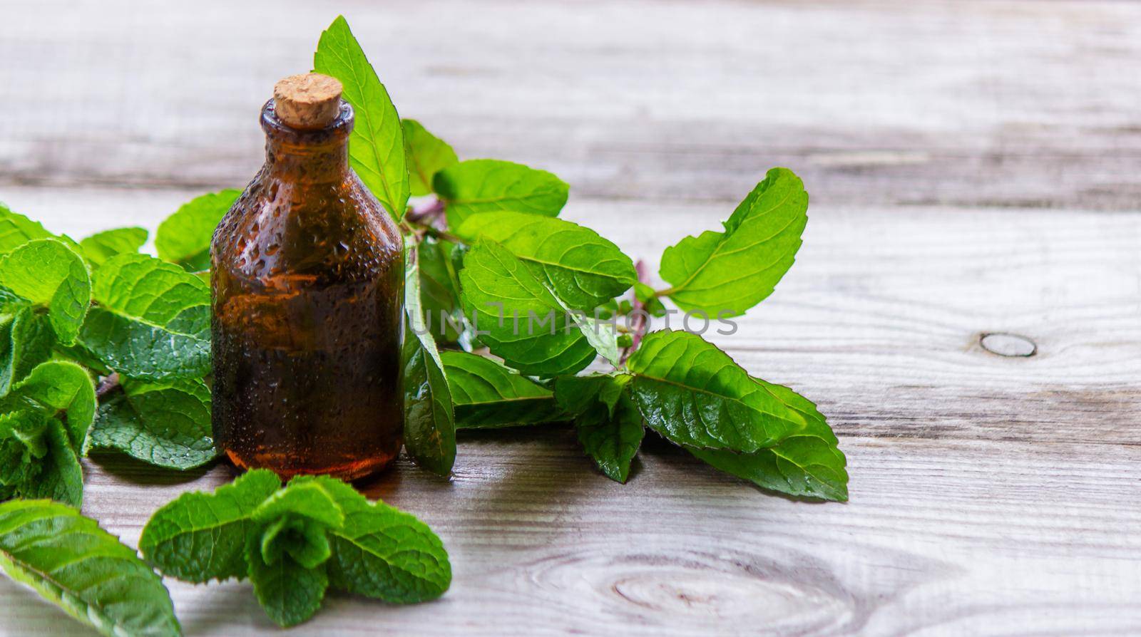 The mint extract in a small jar. Selective focus.