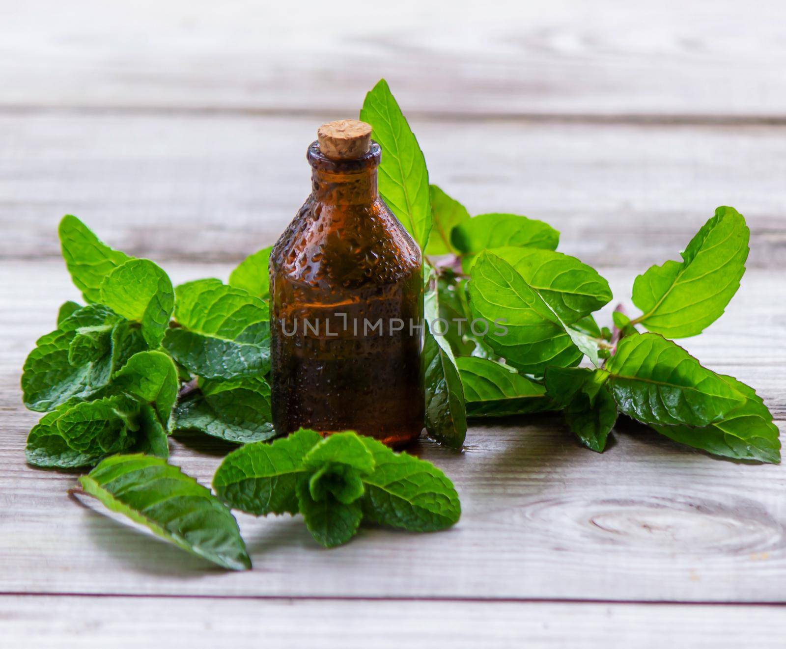 The mint extract in a small jar. Selective focus.