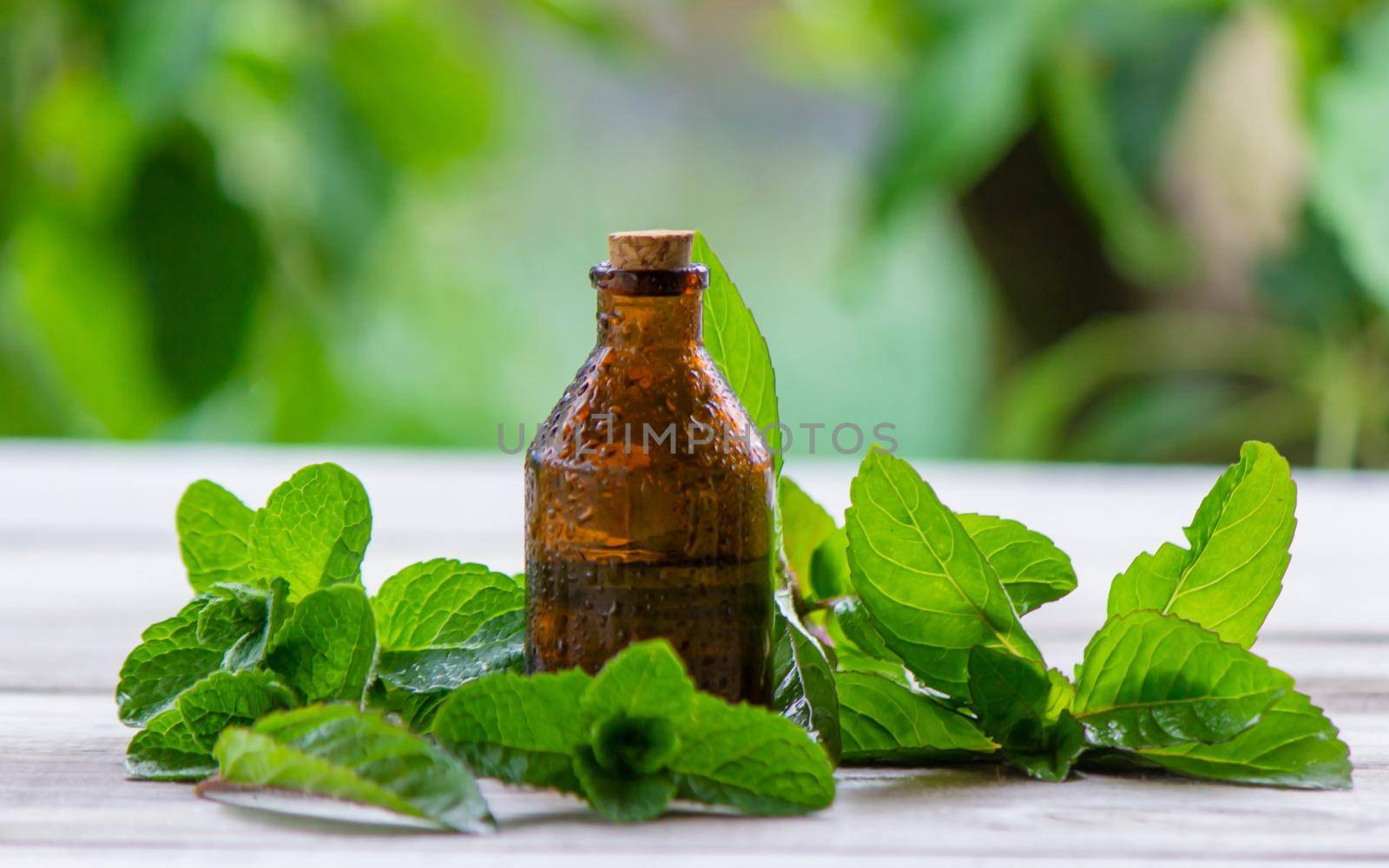 The mint extract in a small jar. Selective focus.