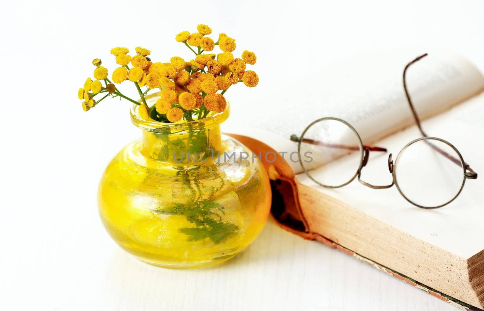 Bouquet of yellow wild flowers near old book on white background
