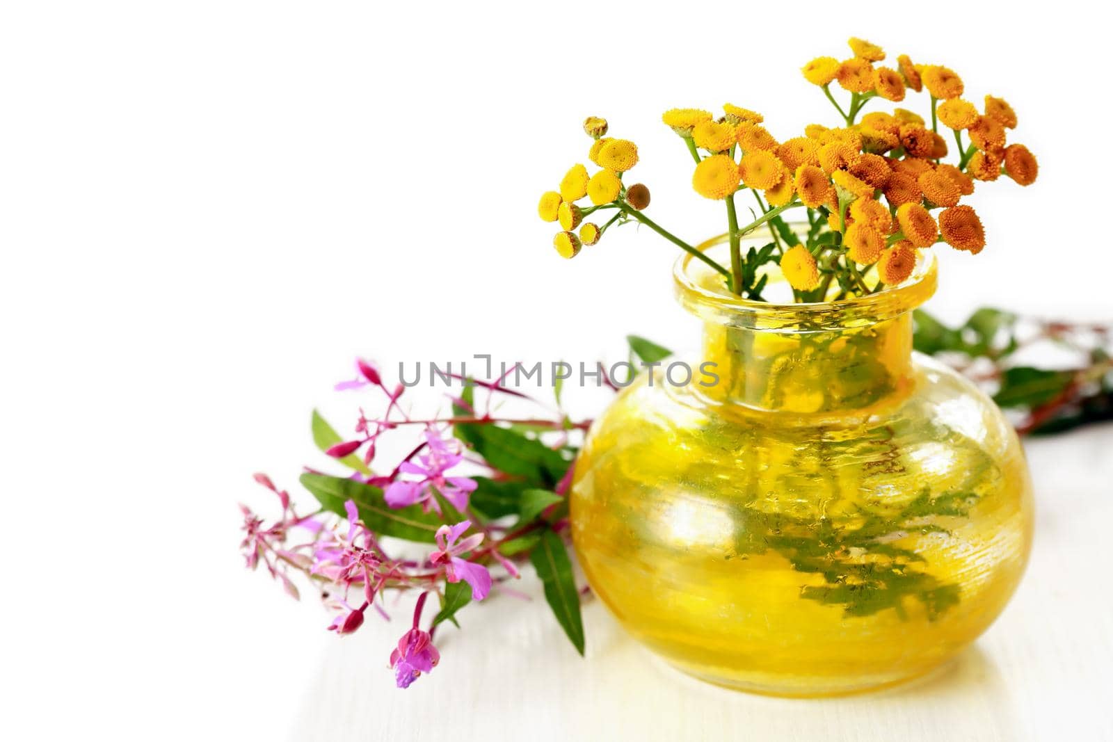 Bouquet of various wild flowers on white background