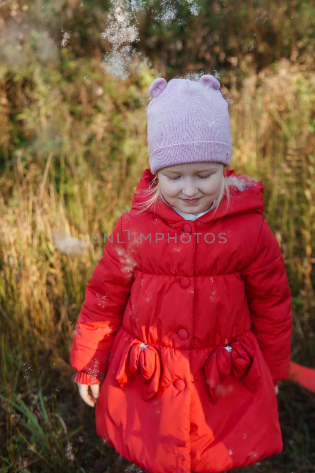 A little girl in a red coat walks in nature in an autumn grove. The season is autumn.