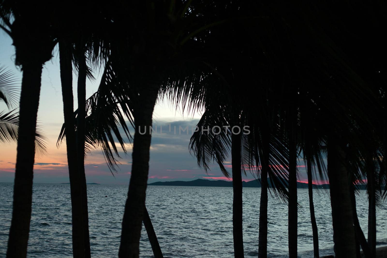 Silhouette coconut palm tree on sunset cloudy sky background by AnaBabii