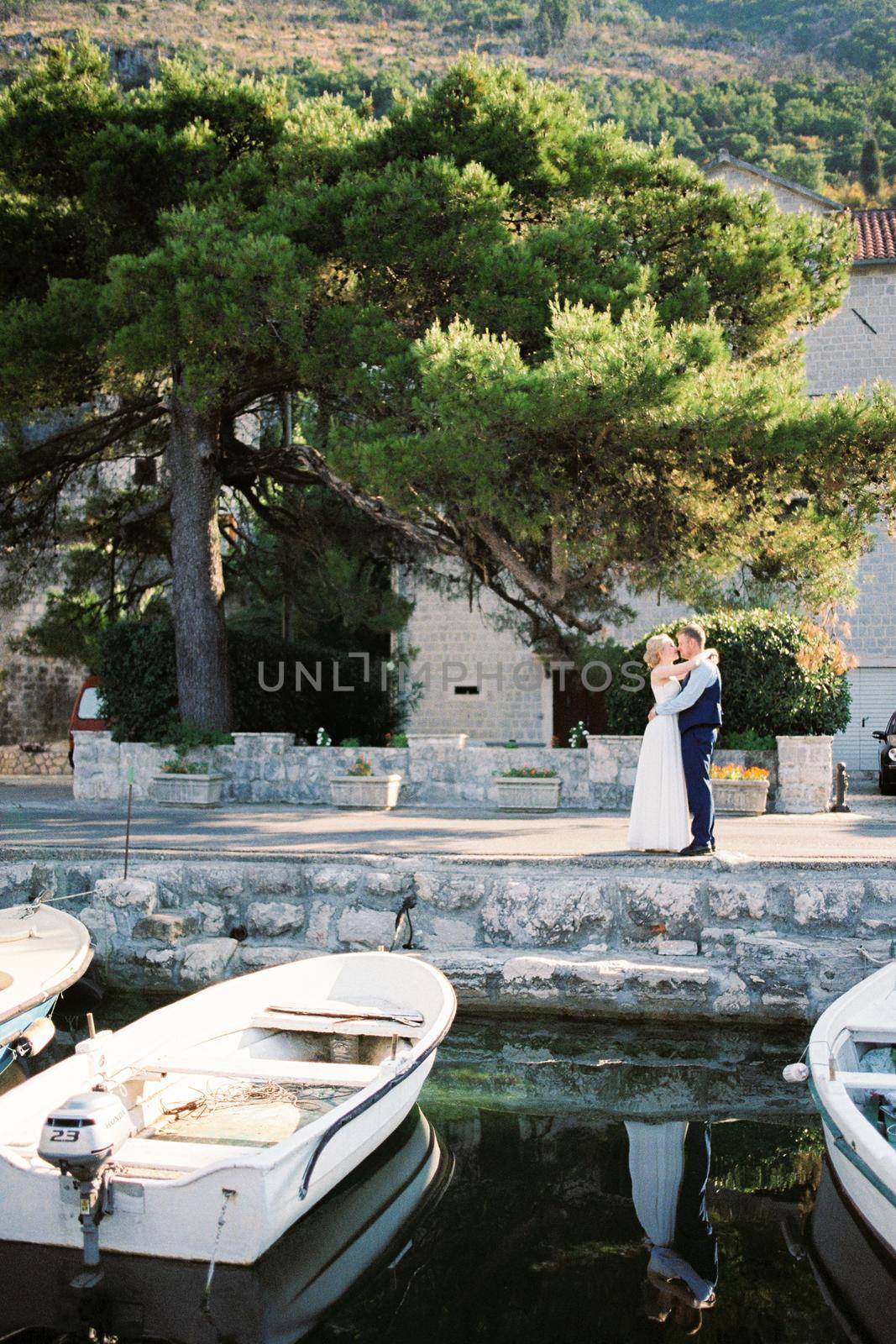 Newlyweds stand embracing on the pier near the green tree. High quality photo