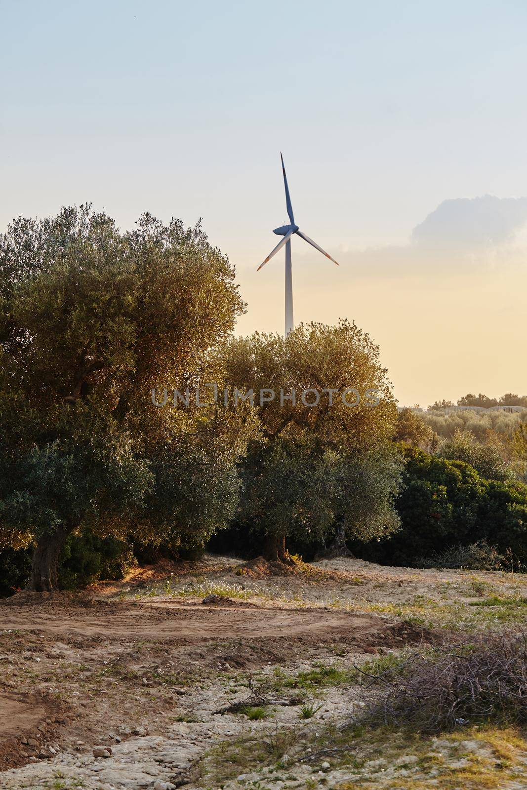 Nice shot of a windmill in Polignano a Mare, town in the province of Bari, Puglia, southern Italy on the Adriatic Sea. City on cliffs, heaven on the earth.