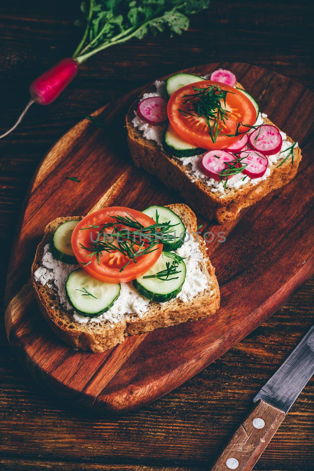 Two vegetarian sandwiches with fresh sliced tomatoes, cucumber and radish