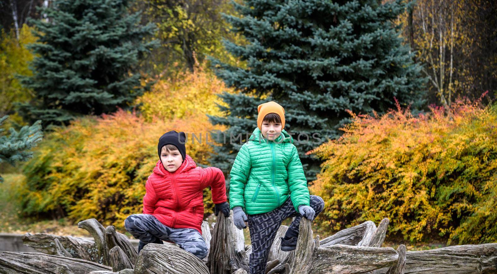 Two boys sitting on a tree stump in the autumn forest and looking up. Front view.