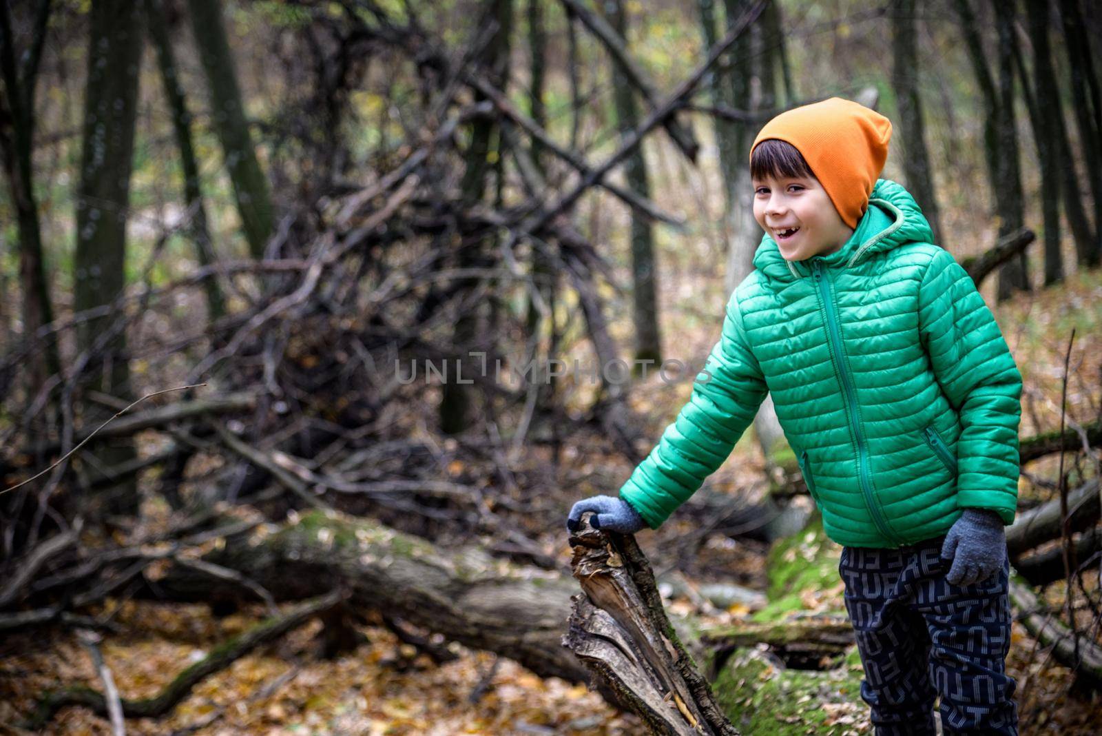 A child walking across a fallen tree going across a river in the woods. Boy spend weekend in autumn forest wearing warm colorful clothes.