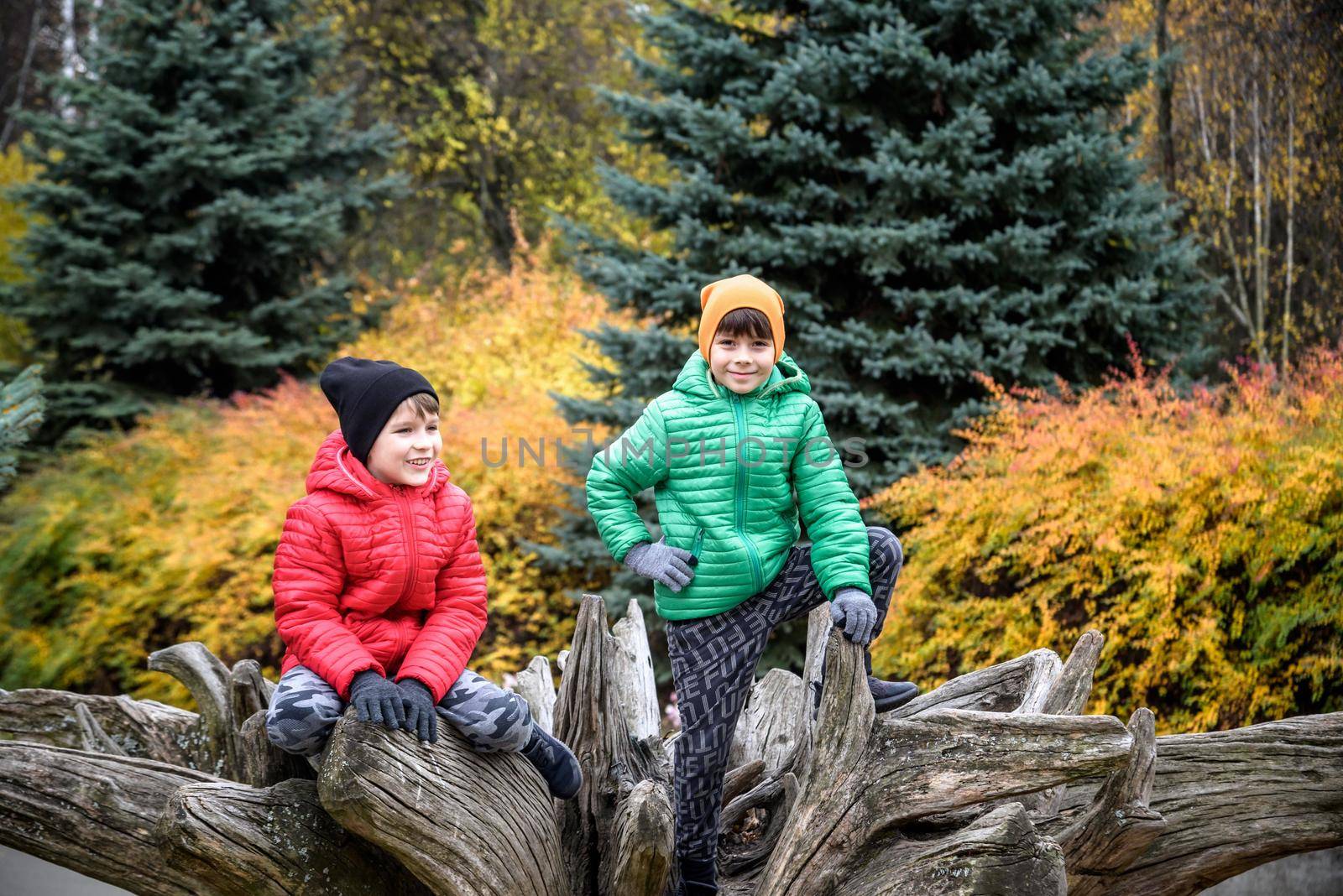 Two boys sitting on a tree stump in the autumn forest and looking up. Front view.